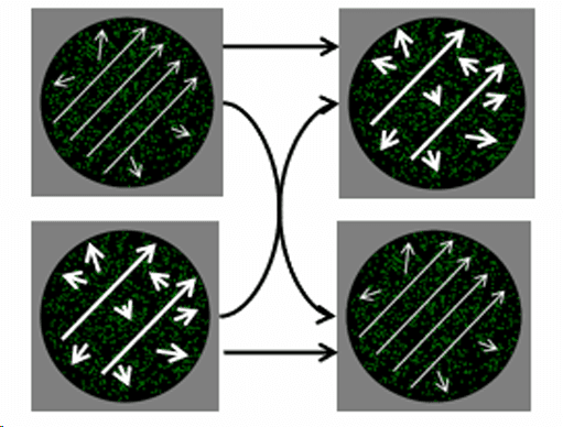 Serial Dependence